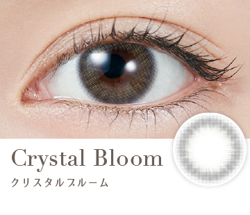 Crystal Bloom(クリスタルブルーム)